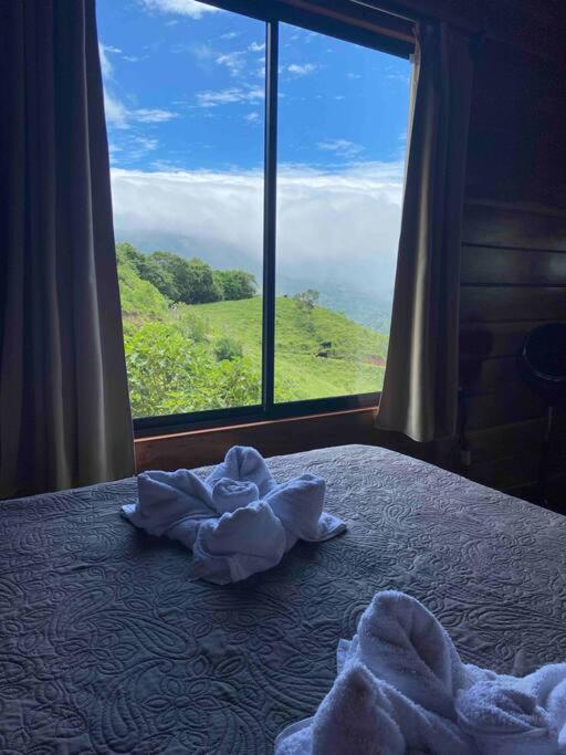 Cabina vista al valle Monteverde