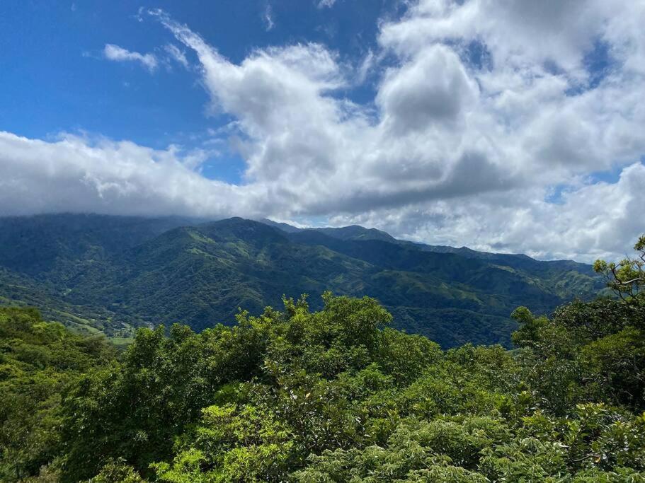 Cabina vista al valle Monteverde