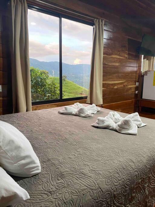 Cabina vista al valle Monteverde