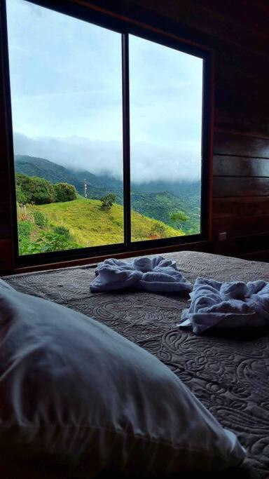 Cabina vista al valle Monteverde