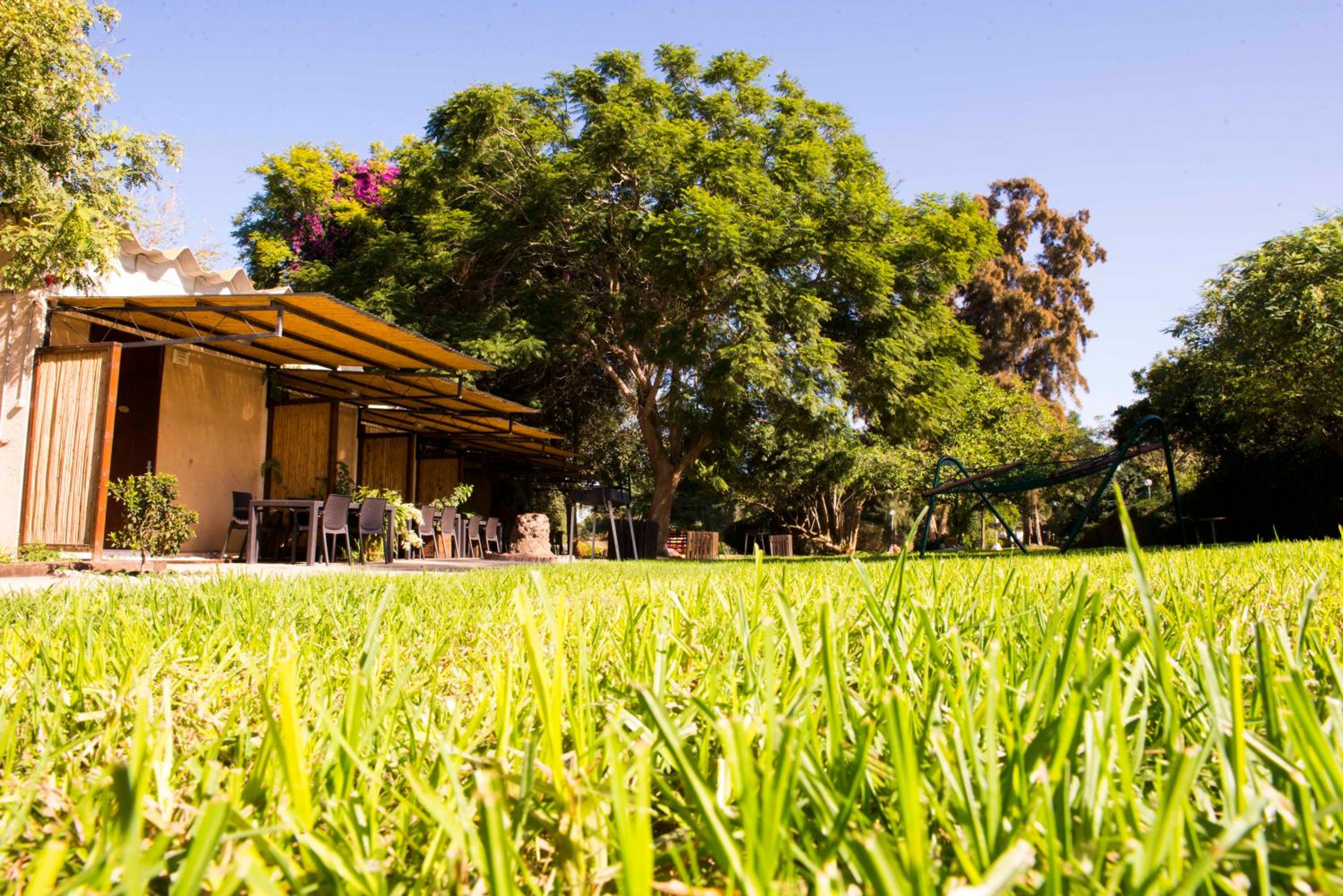 Gvulot - Kibbutz experience