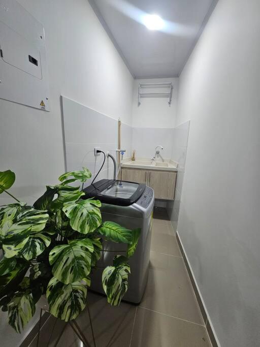 apartamento central