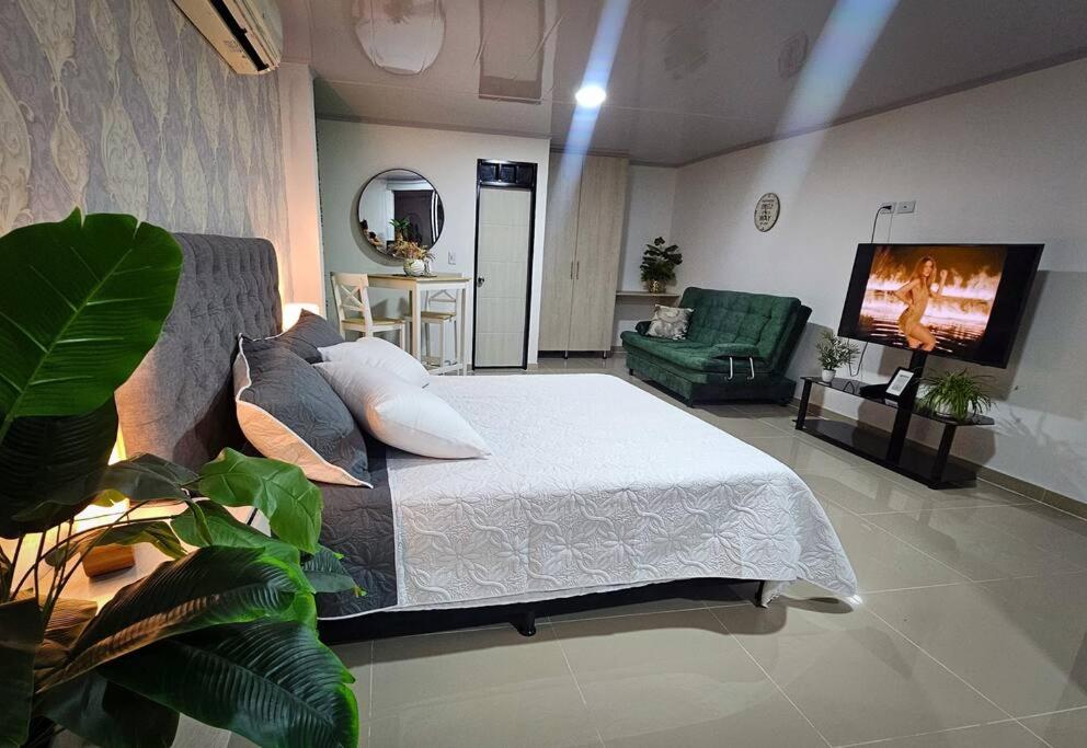 apartamento central