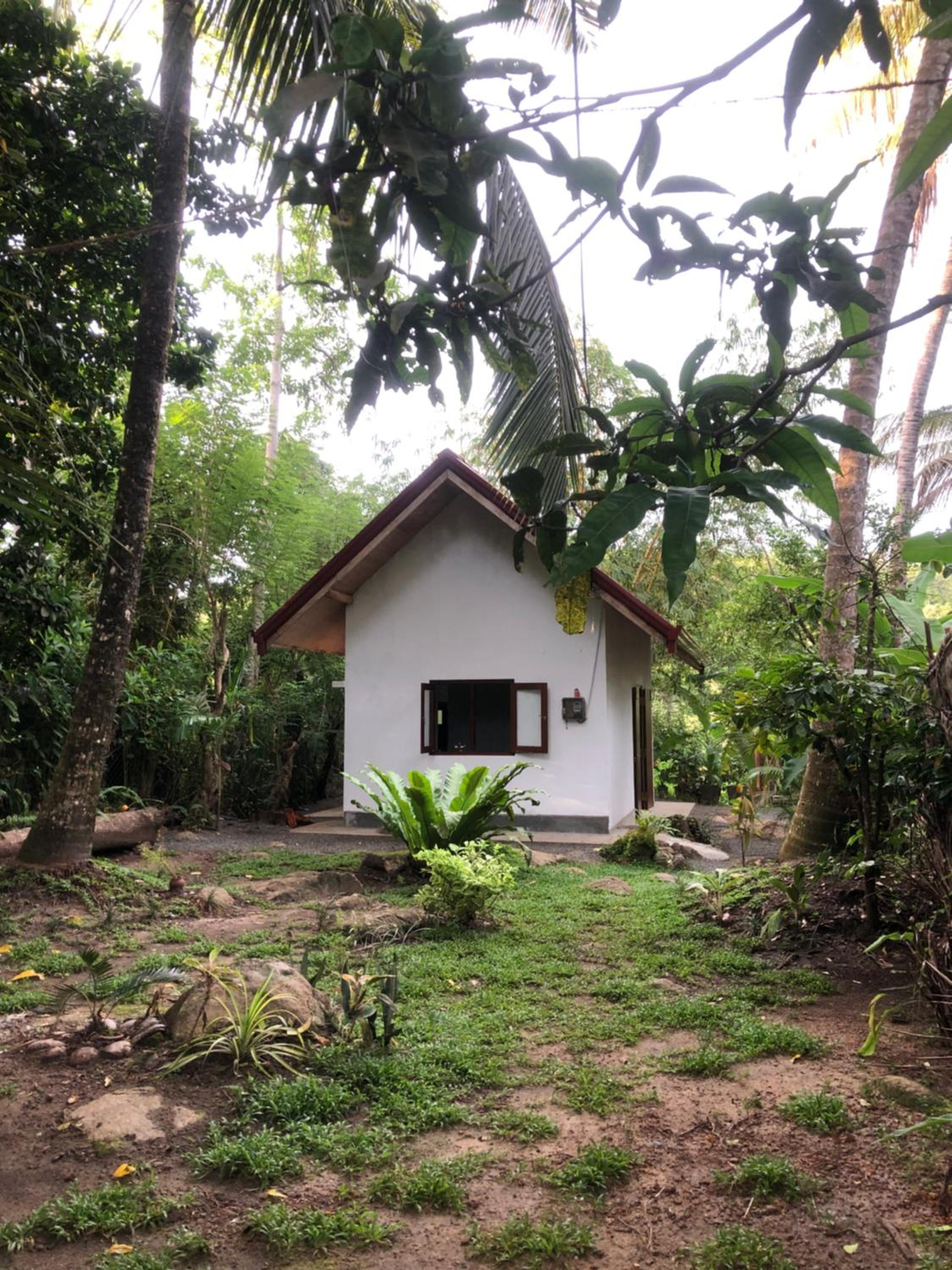 Jungle Lodge view 5