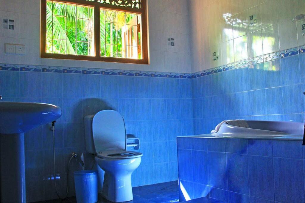 HikkaVilla 5 Bedroom private villa view 3