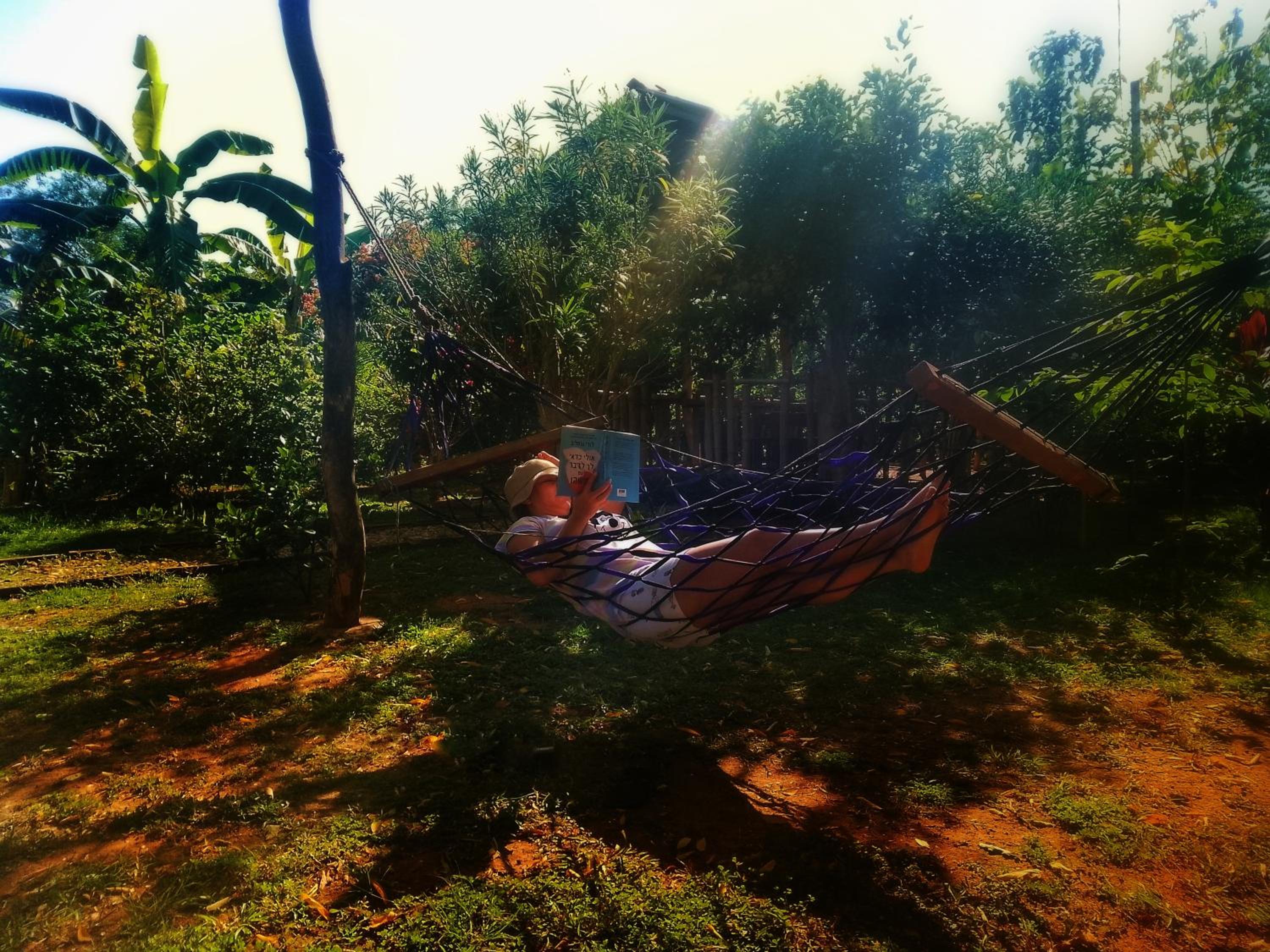 Banana Shade Cottage