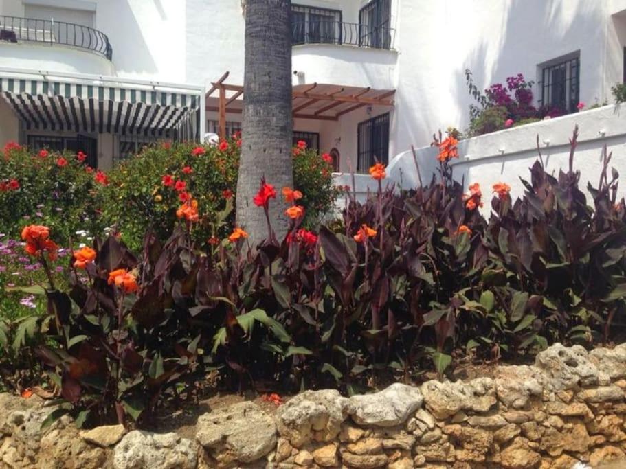 Nyrenoverat! Beachfront townhouse med pool