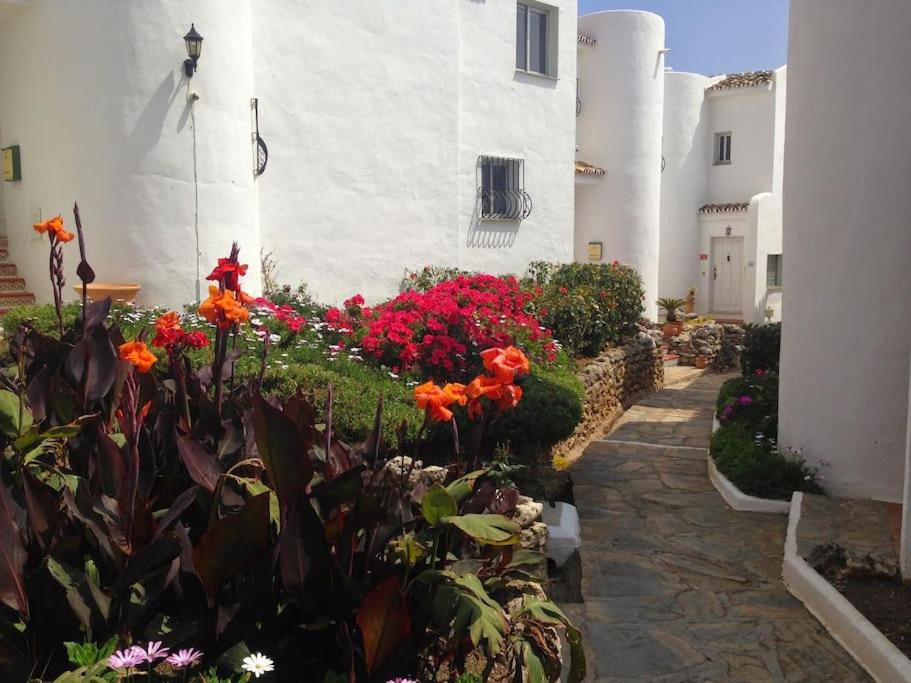 Nyrenoverat! Beachfront townhouse med pool