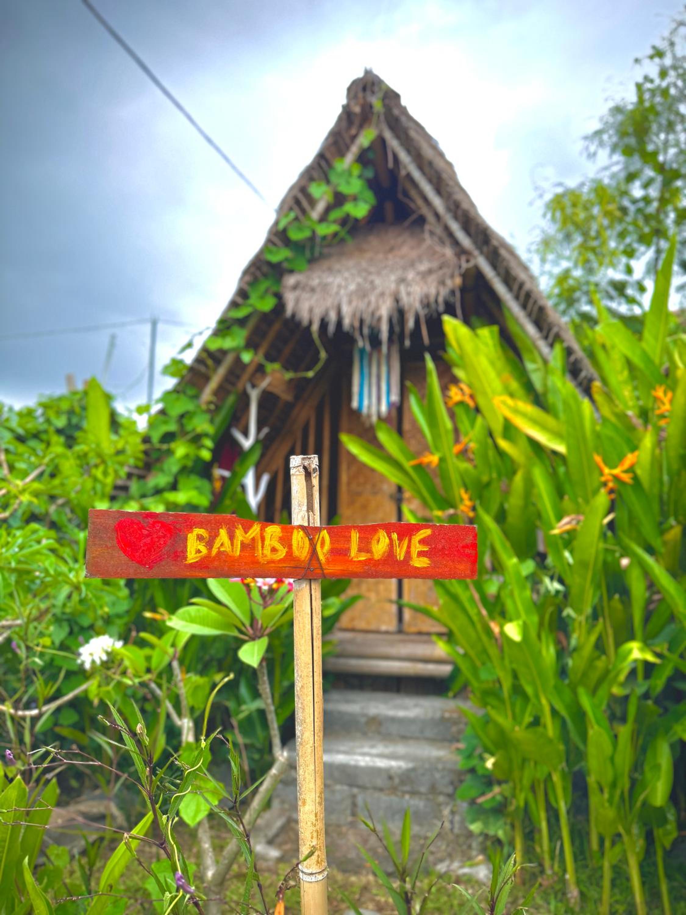 Eco Bamboo Jungle