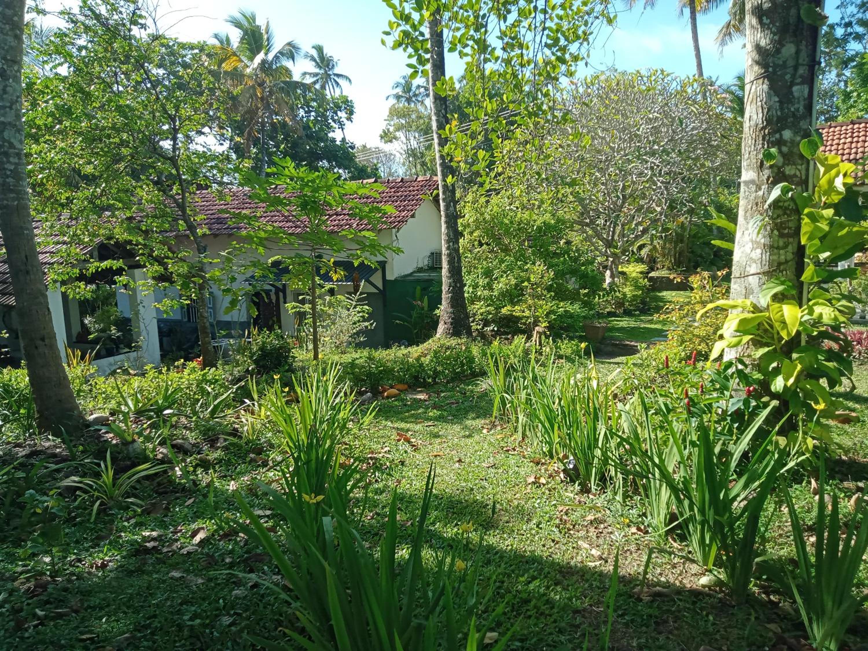 Photo 14