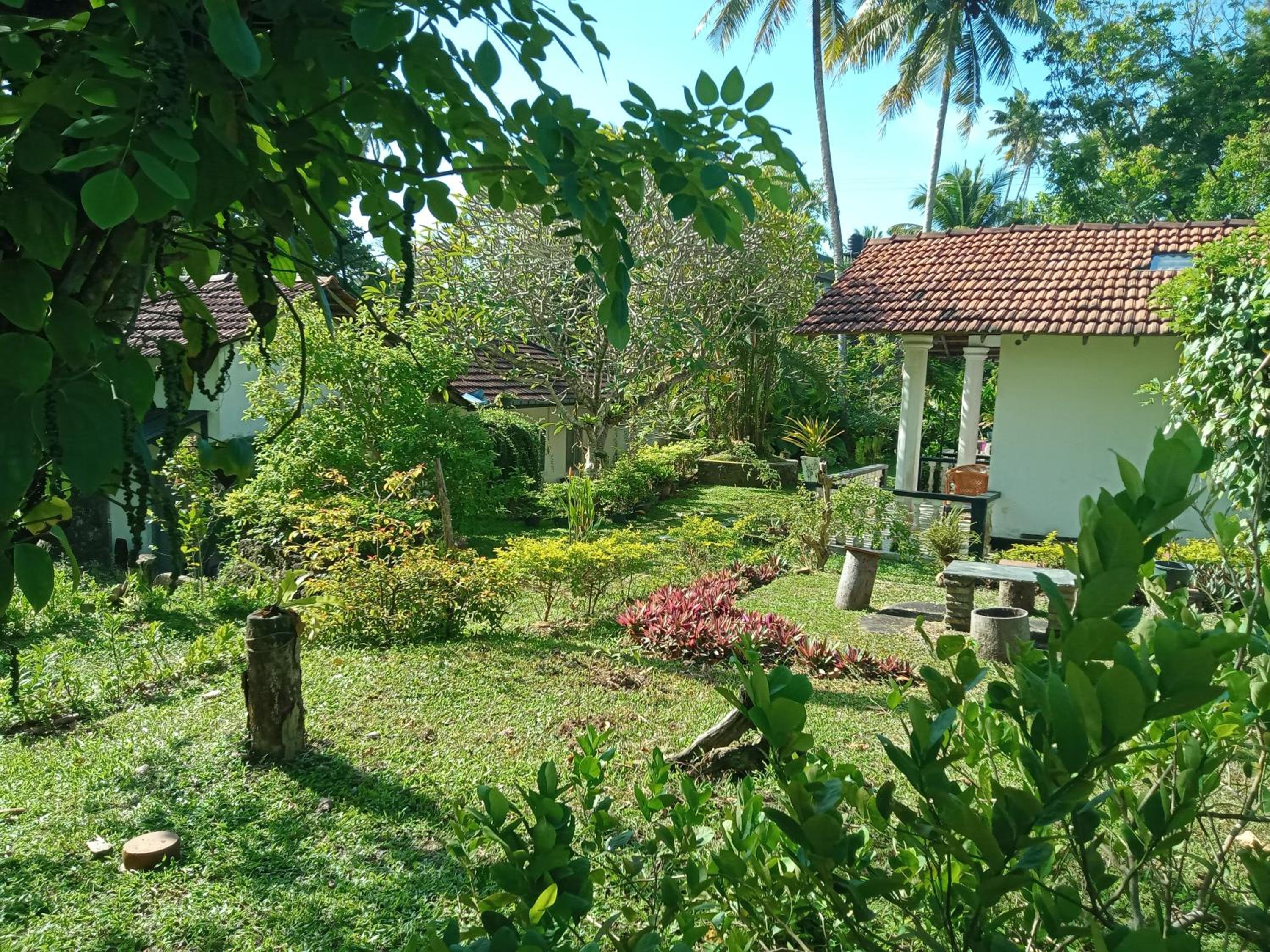 Photo 17
