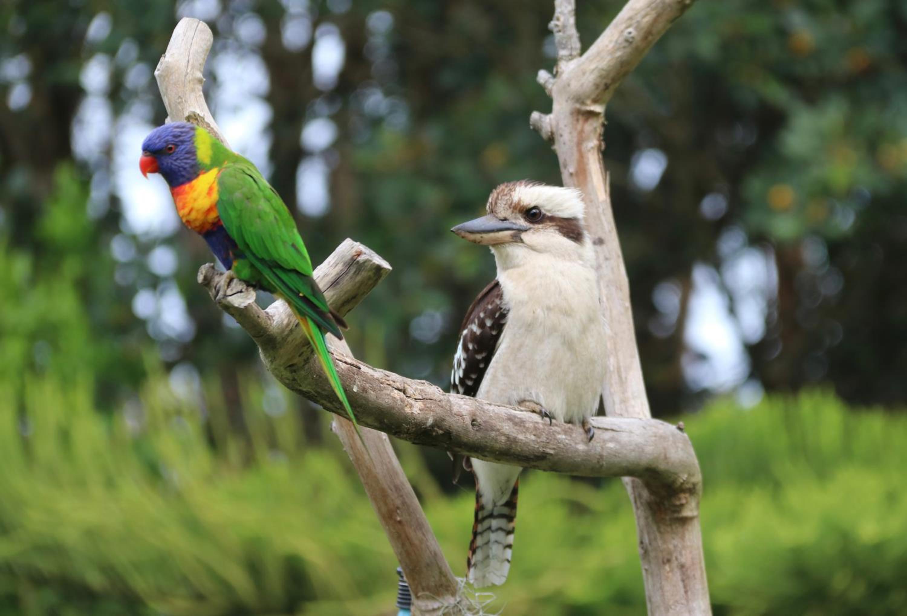 Salamander Bay Bed and Breakfast