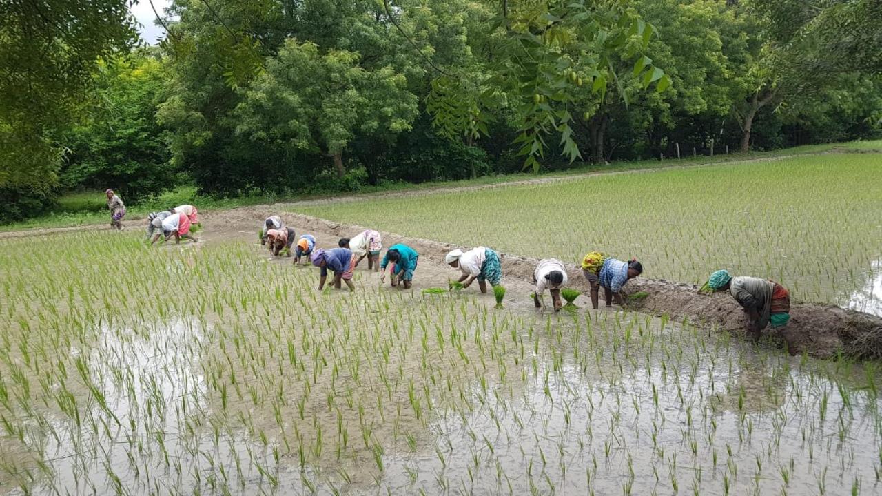 Greenacres 5 Bedroom Farm Stay at Yadadri view 5