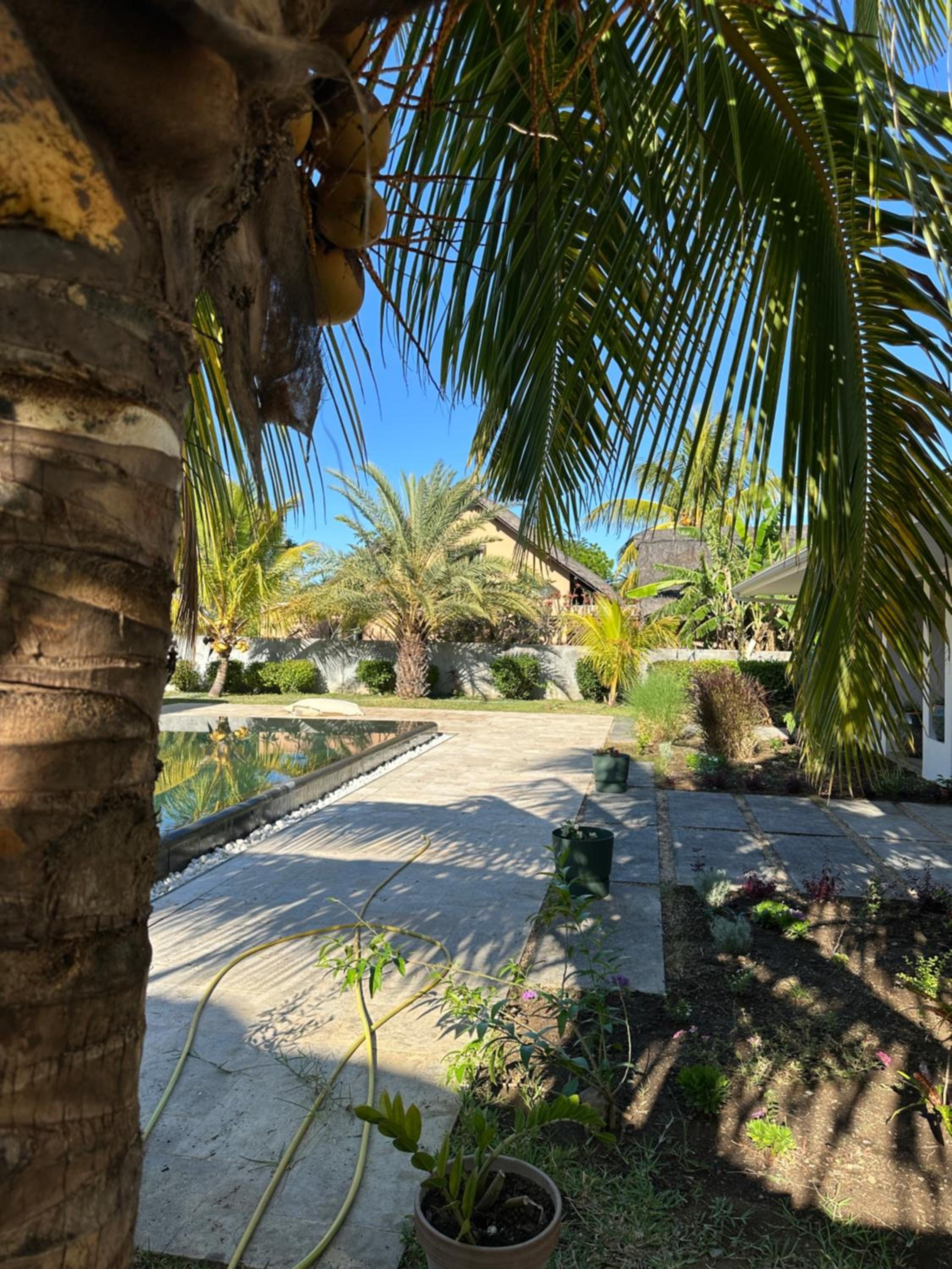 La Savane view 5