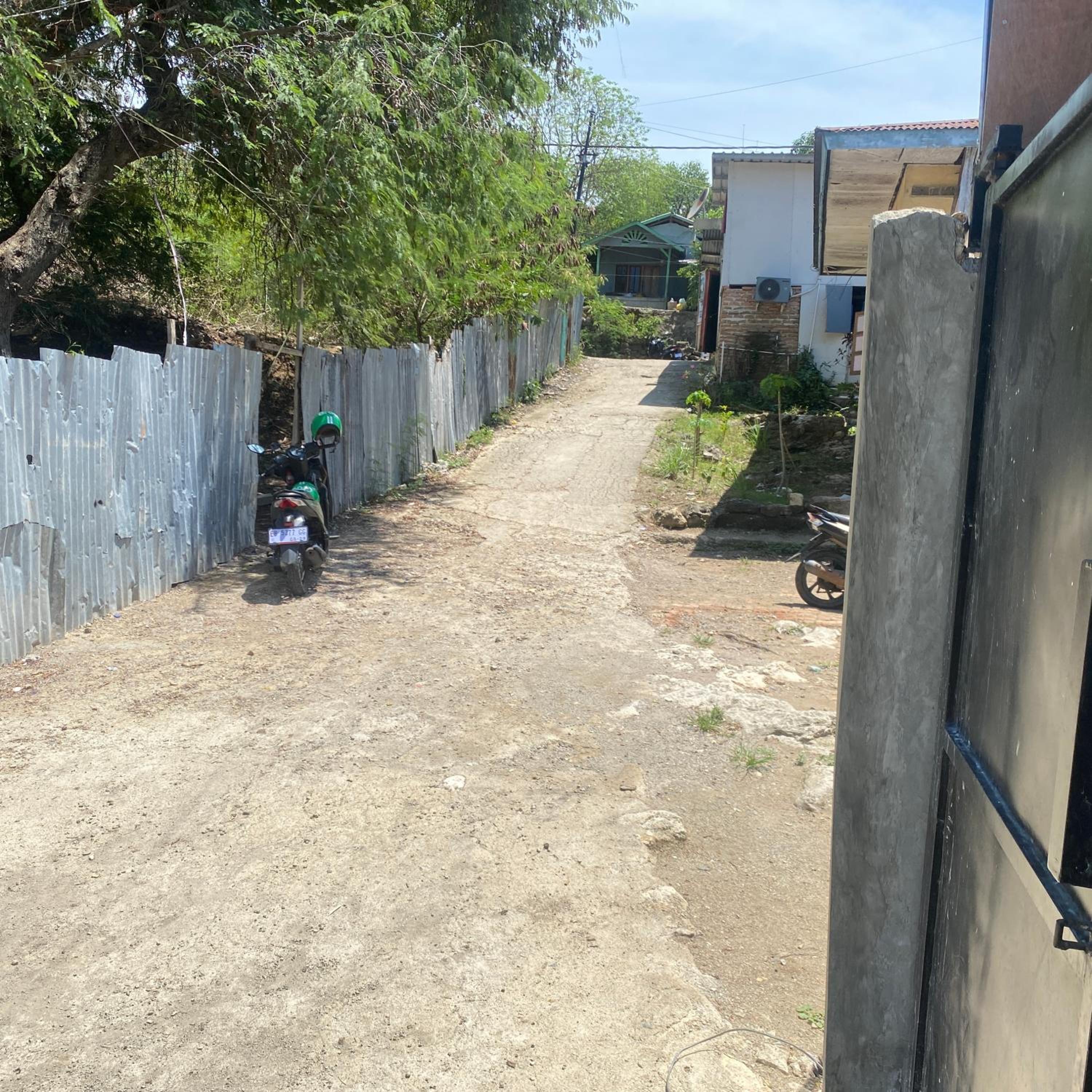 Photo 15