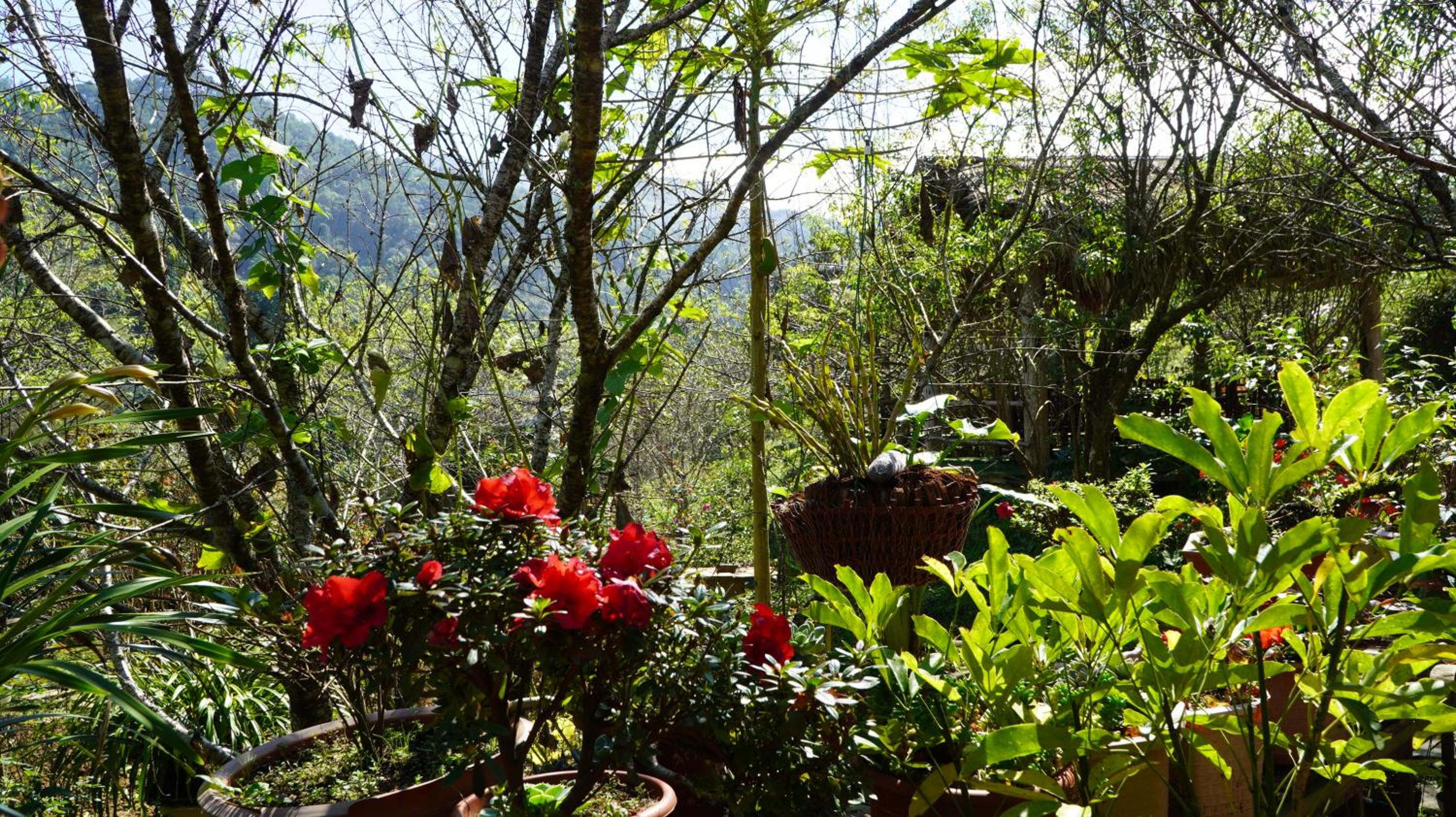 Zao Tả Phìn view 2