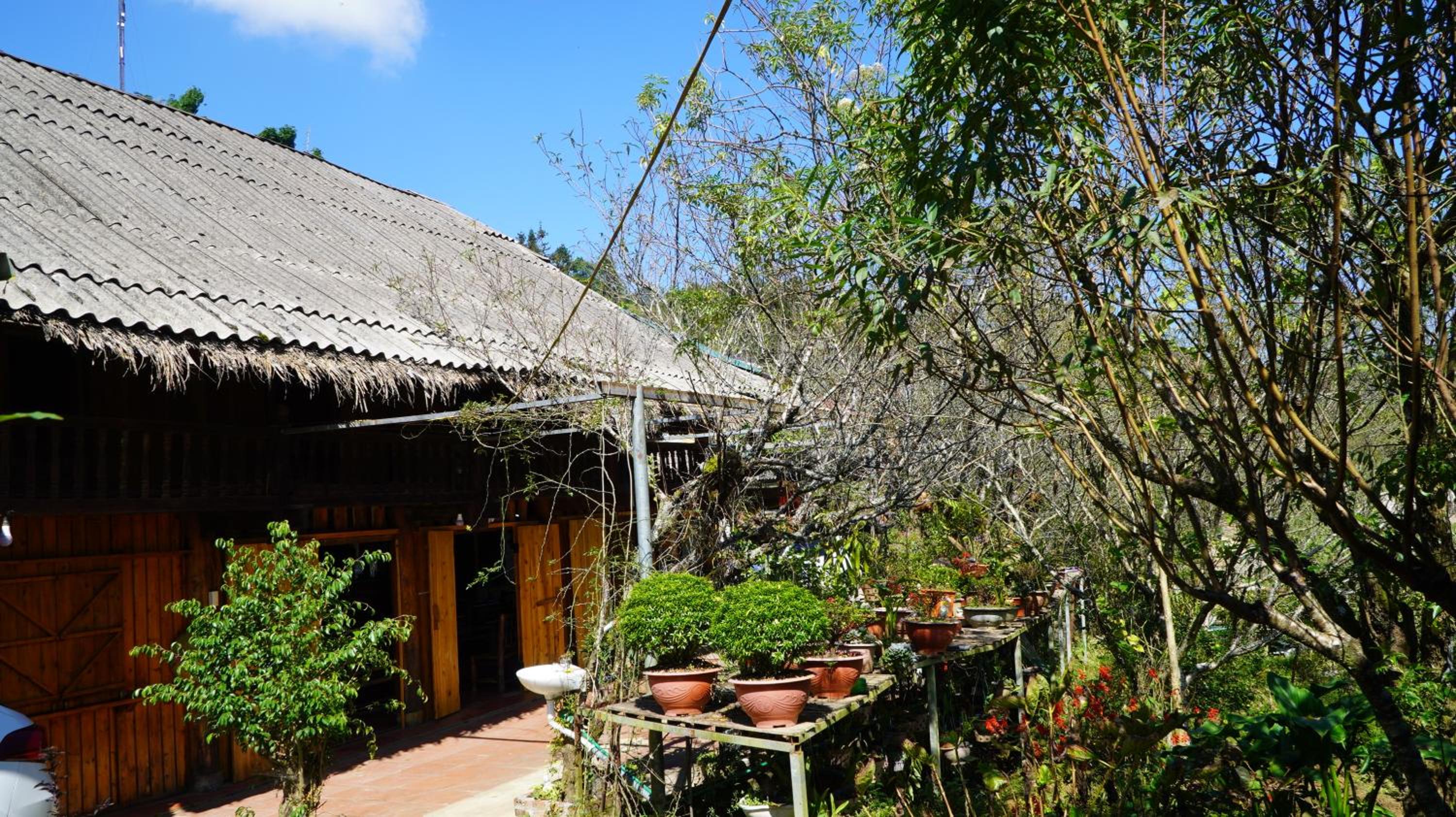 Zao Tả Phìn view 4