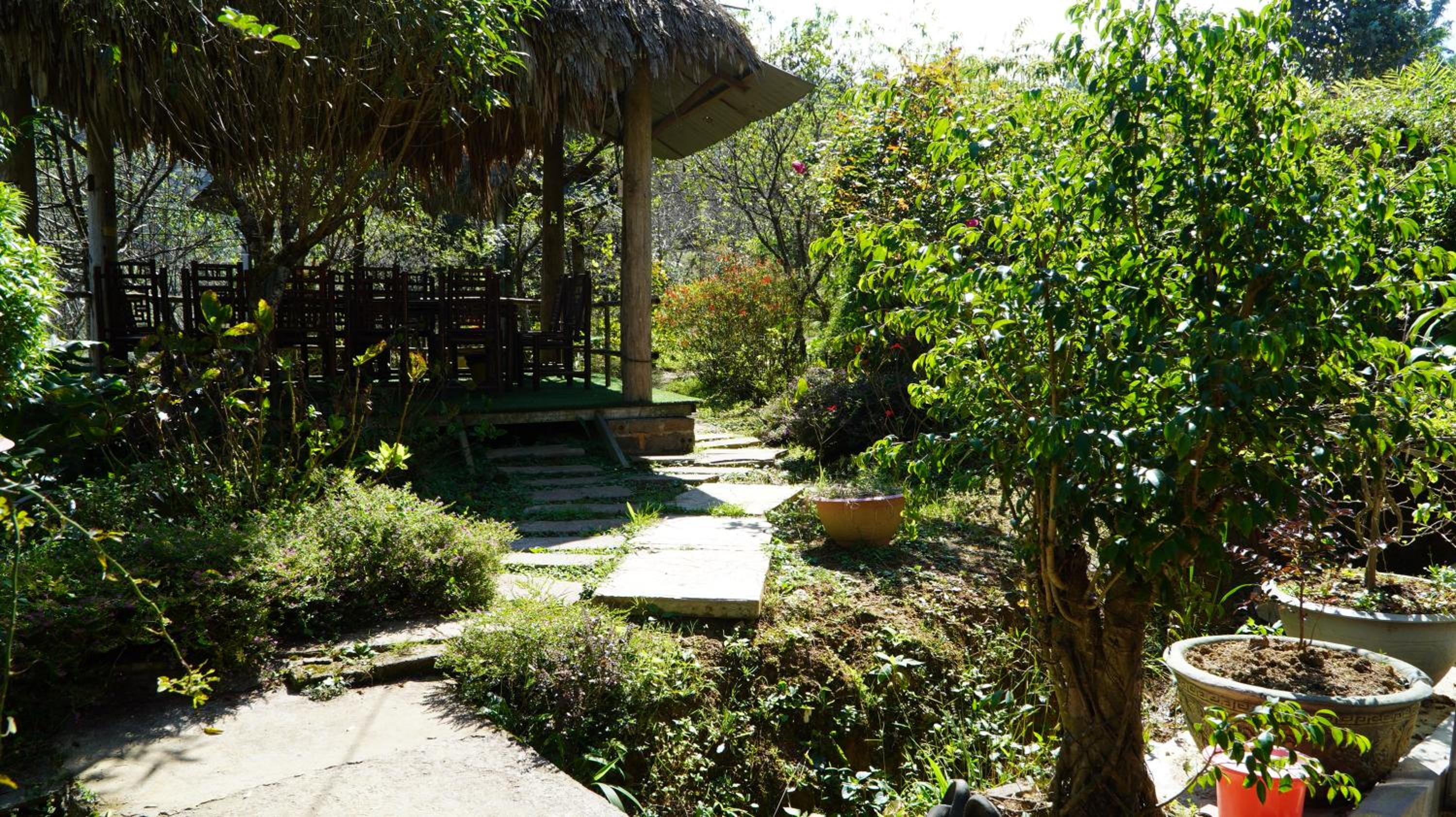 Photo 6