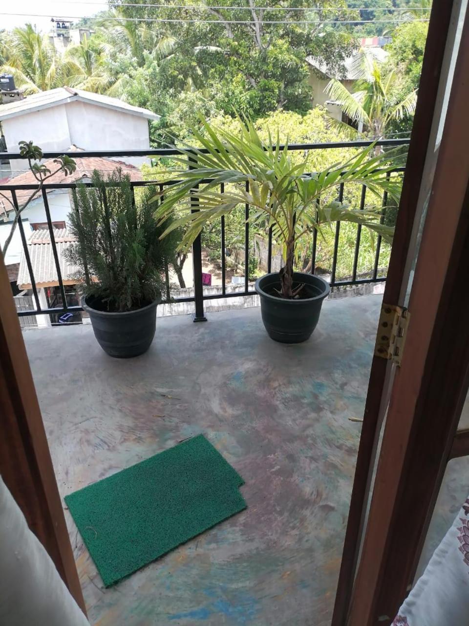 Jungle House