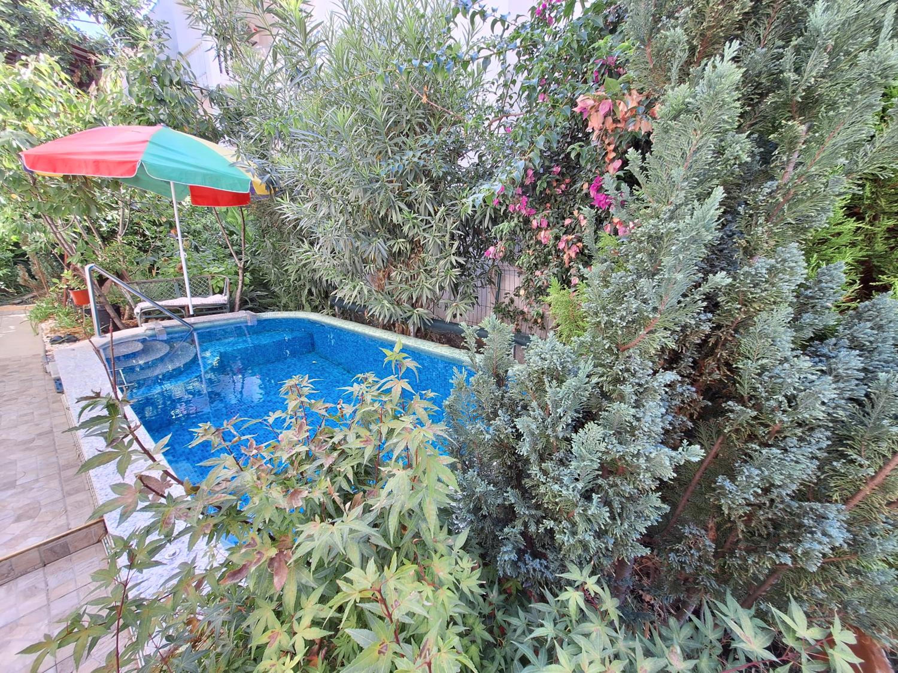 Photo 12