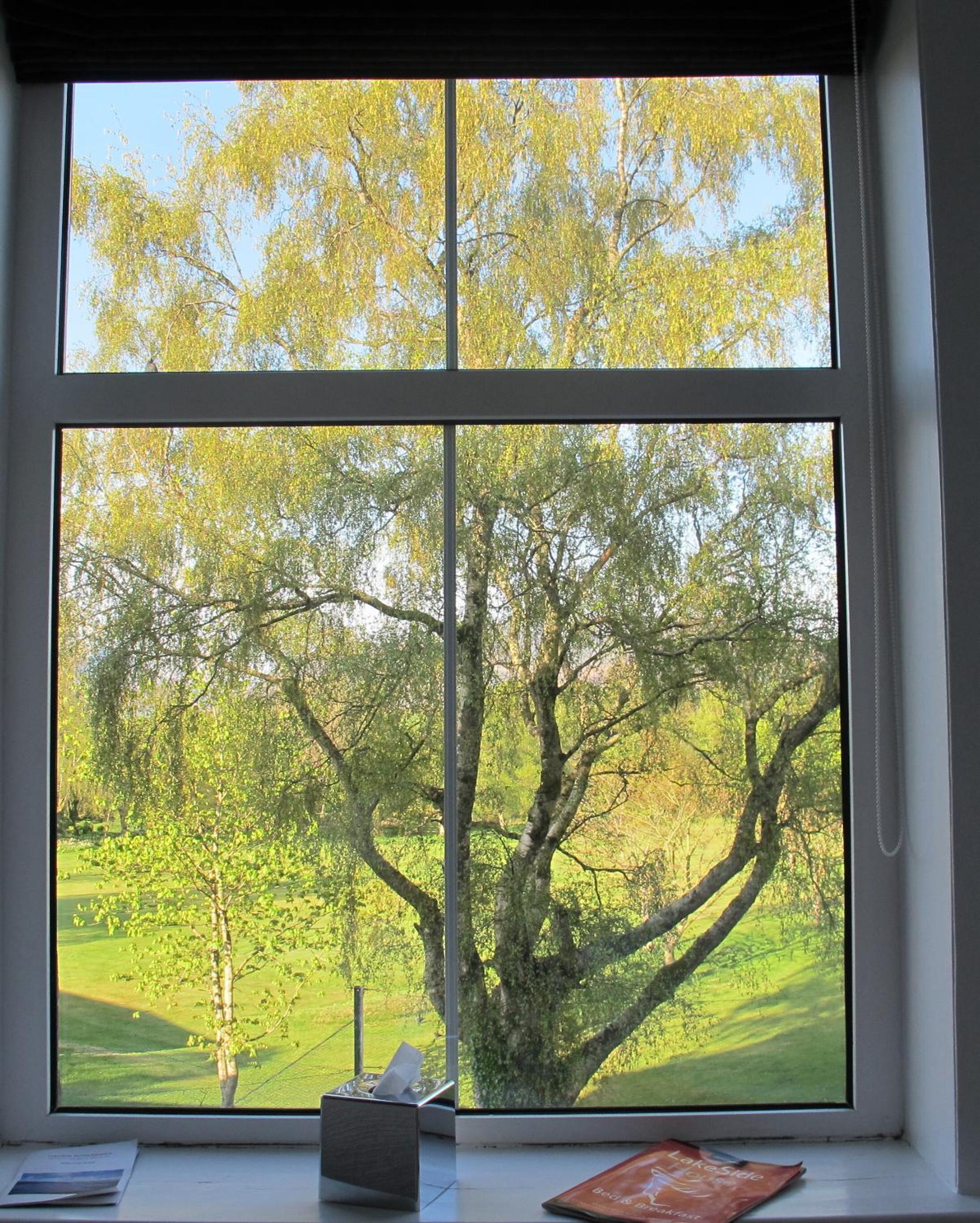 Photo 38