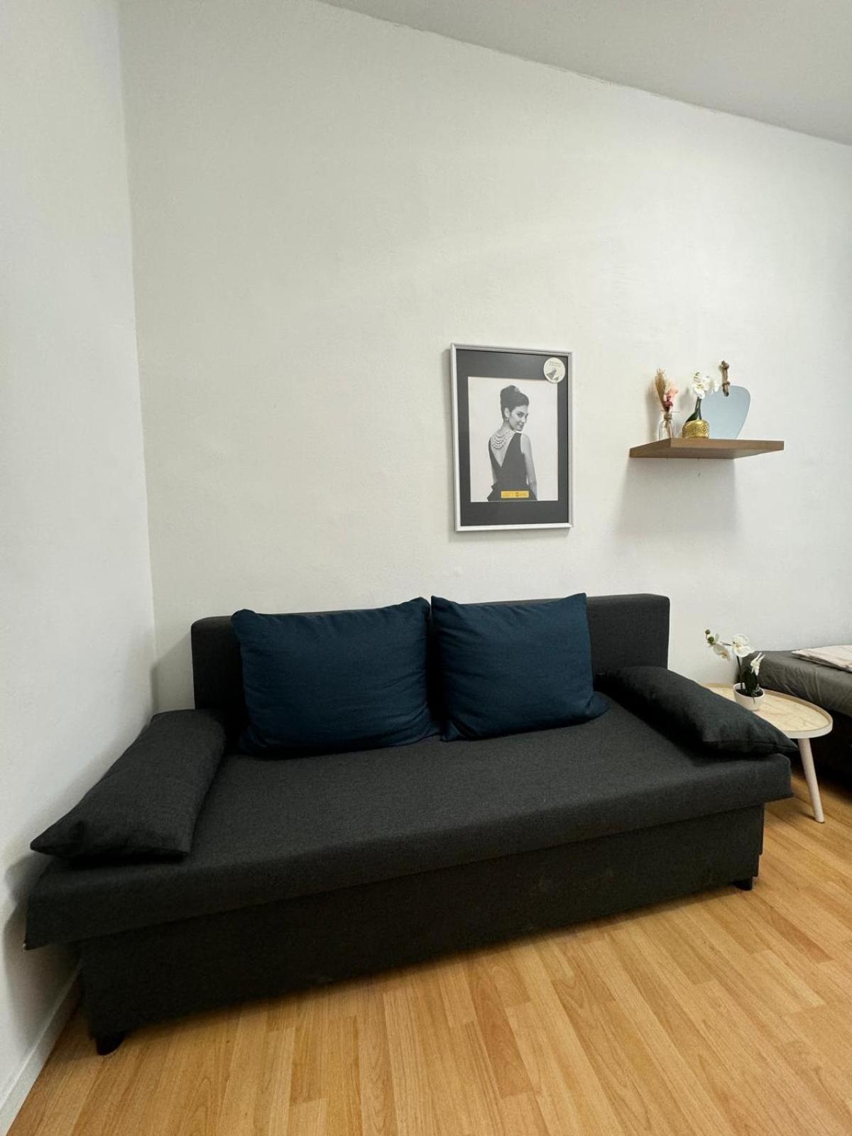 10 BR Apartment for Groups, 8-Min to Rathausplatz