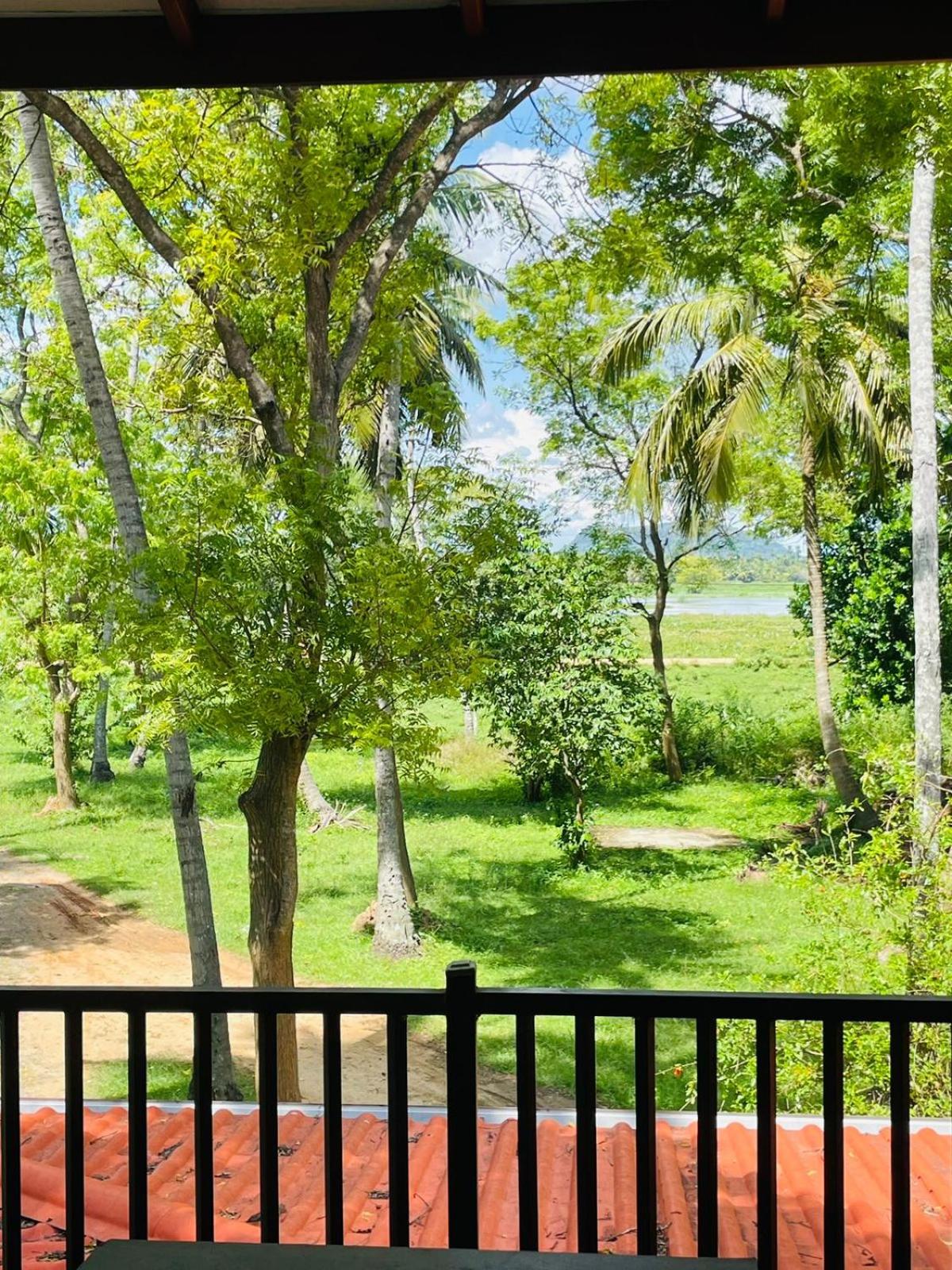 Water Bird's Resort & Yala Safari view 5