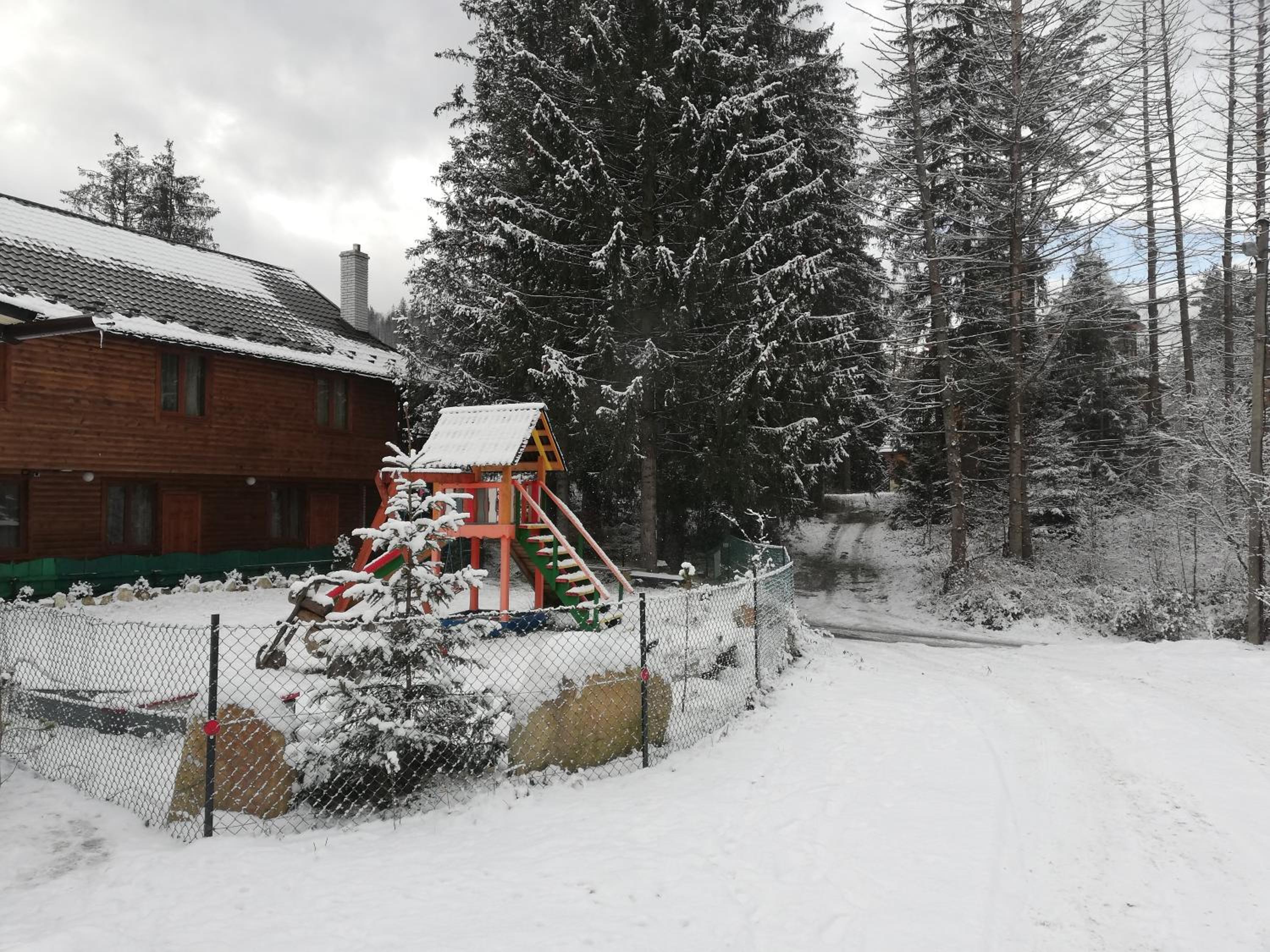 Photo 15