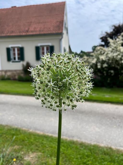 Bauernhaus nähe Graz in ruhiger Lage