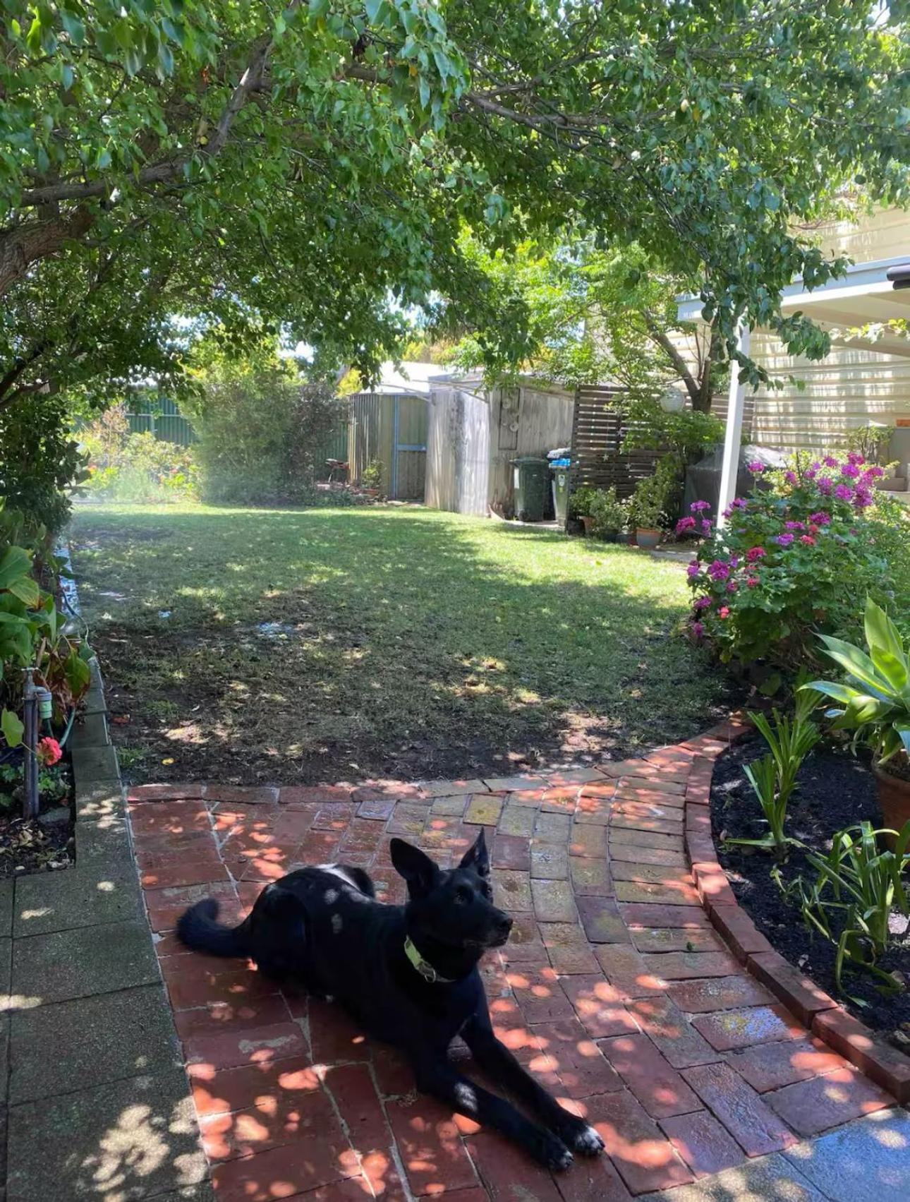 Goolwa Mariner’s Cottage - Free Wifi and Pet Friendly - Centrally located in Historic Region
