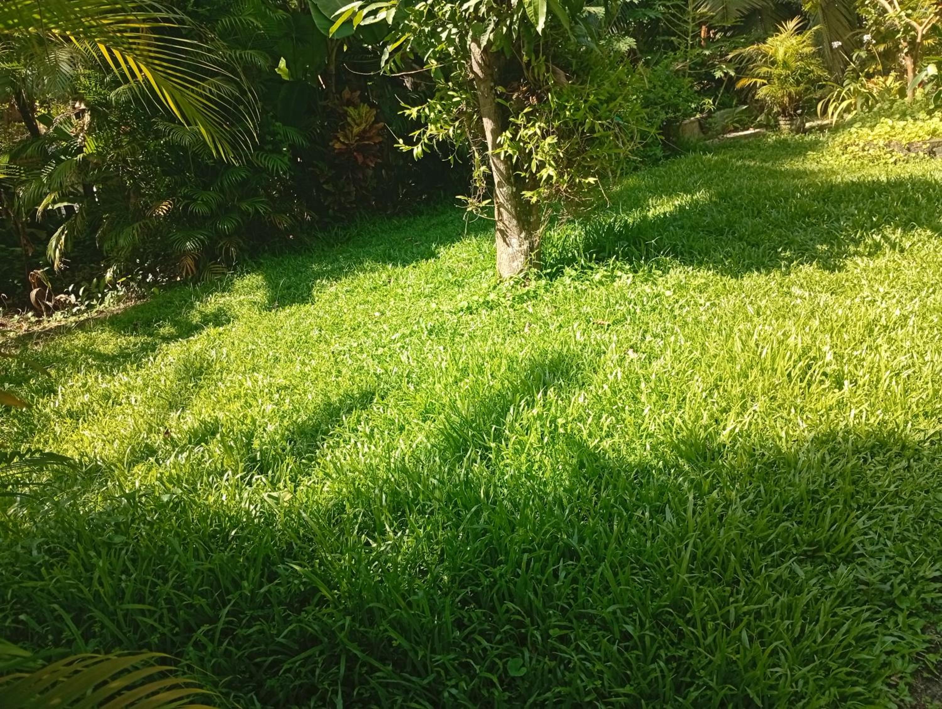 Vinitha vila view 4