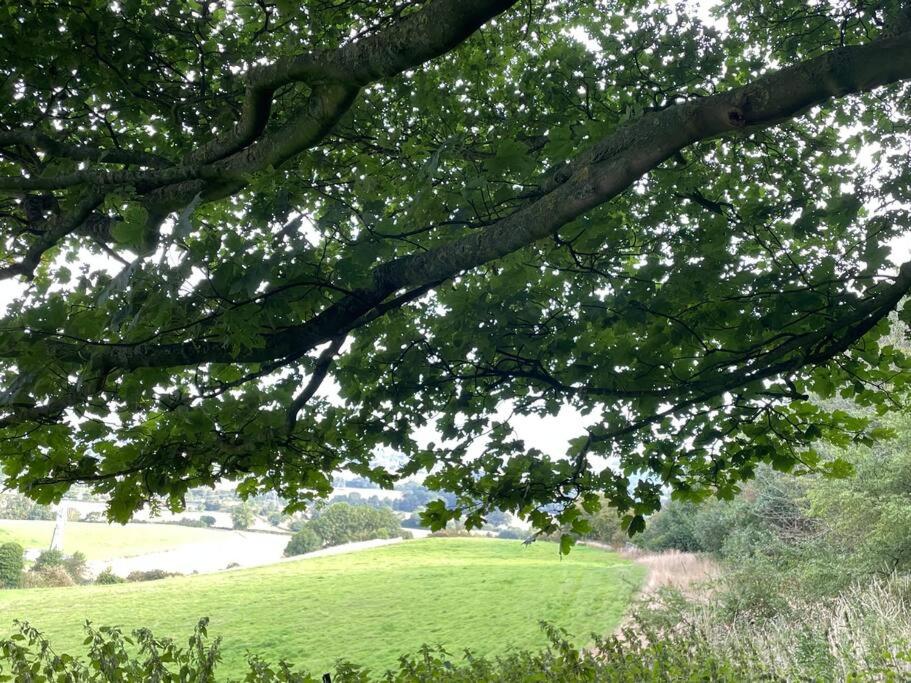 Foxhall Farm