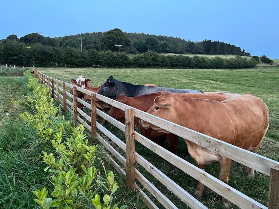 Foxhall Farm