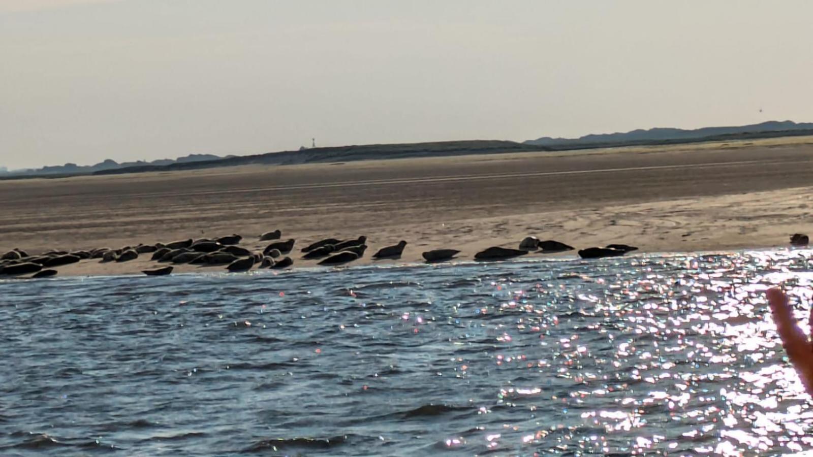 Drei-Insel-Blick Neßmersiel