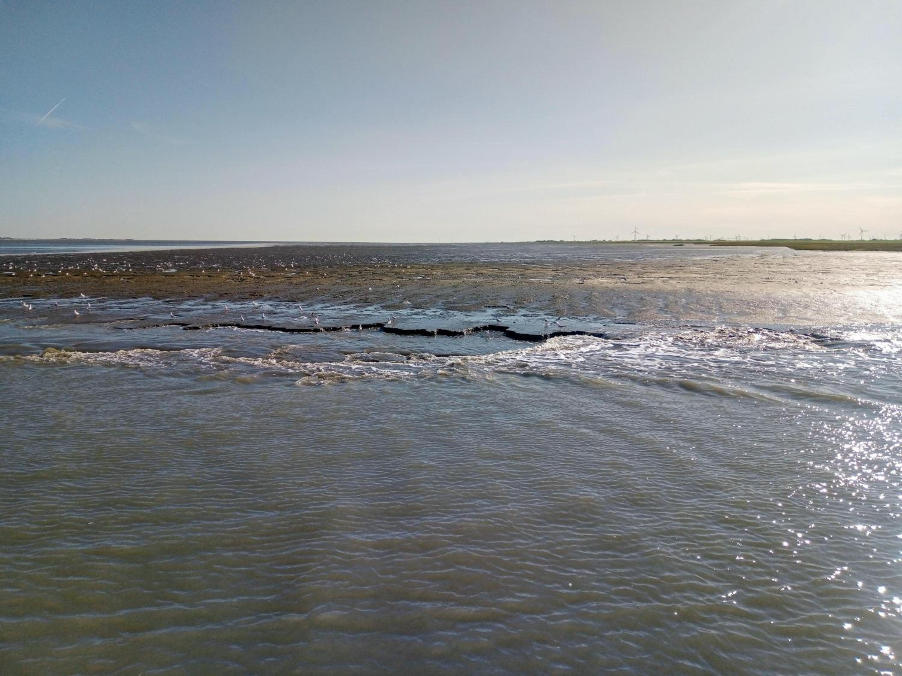 Drei-Insel-Blick Neßmersiel