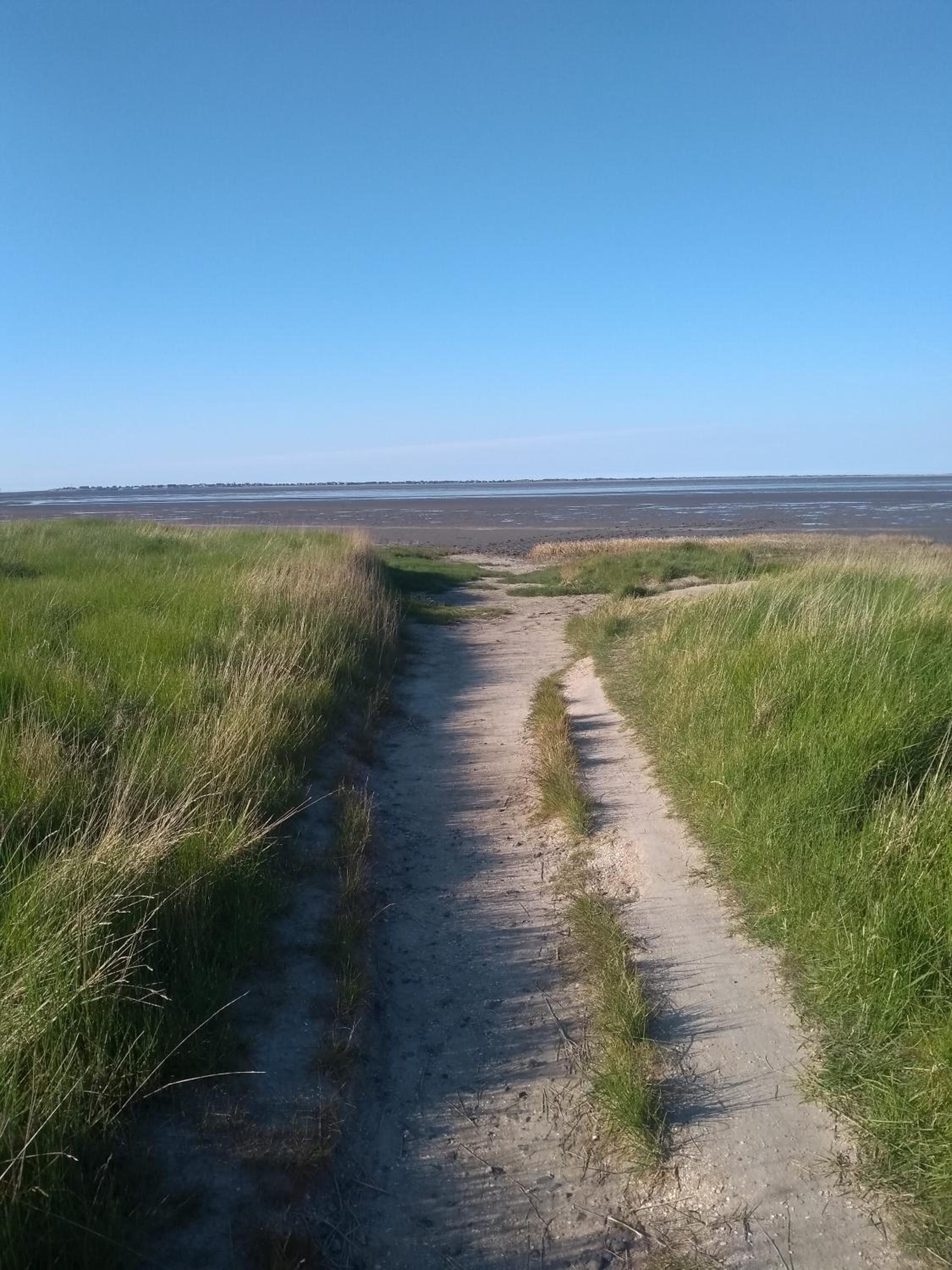 Drei-Insel-Blick Neßmersiel