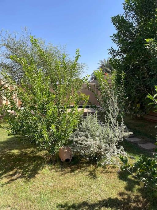 Ecolodge El Beit