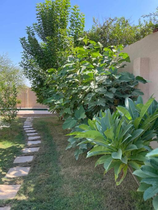 Ecolodge El Beit