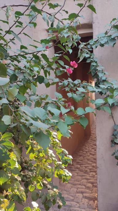 Ecolodge El Beit