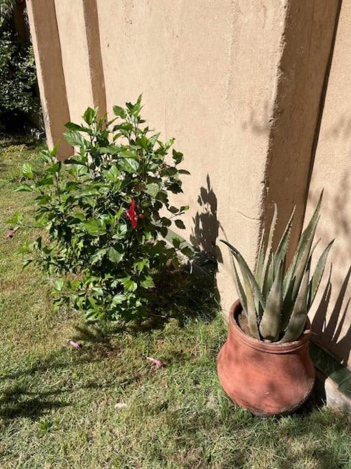 Ecolodge El Beit