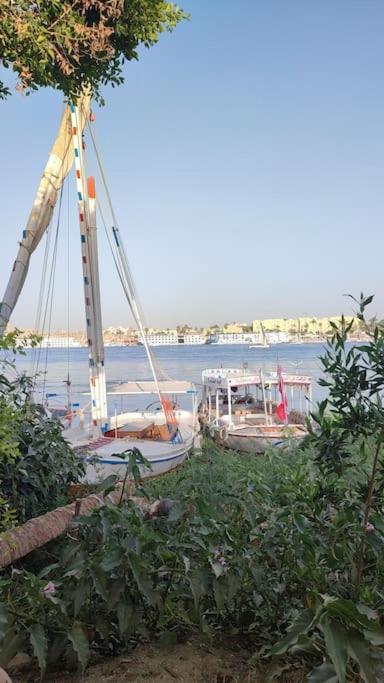 Ecolodge El Beit