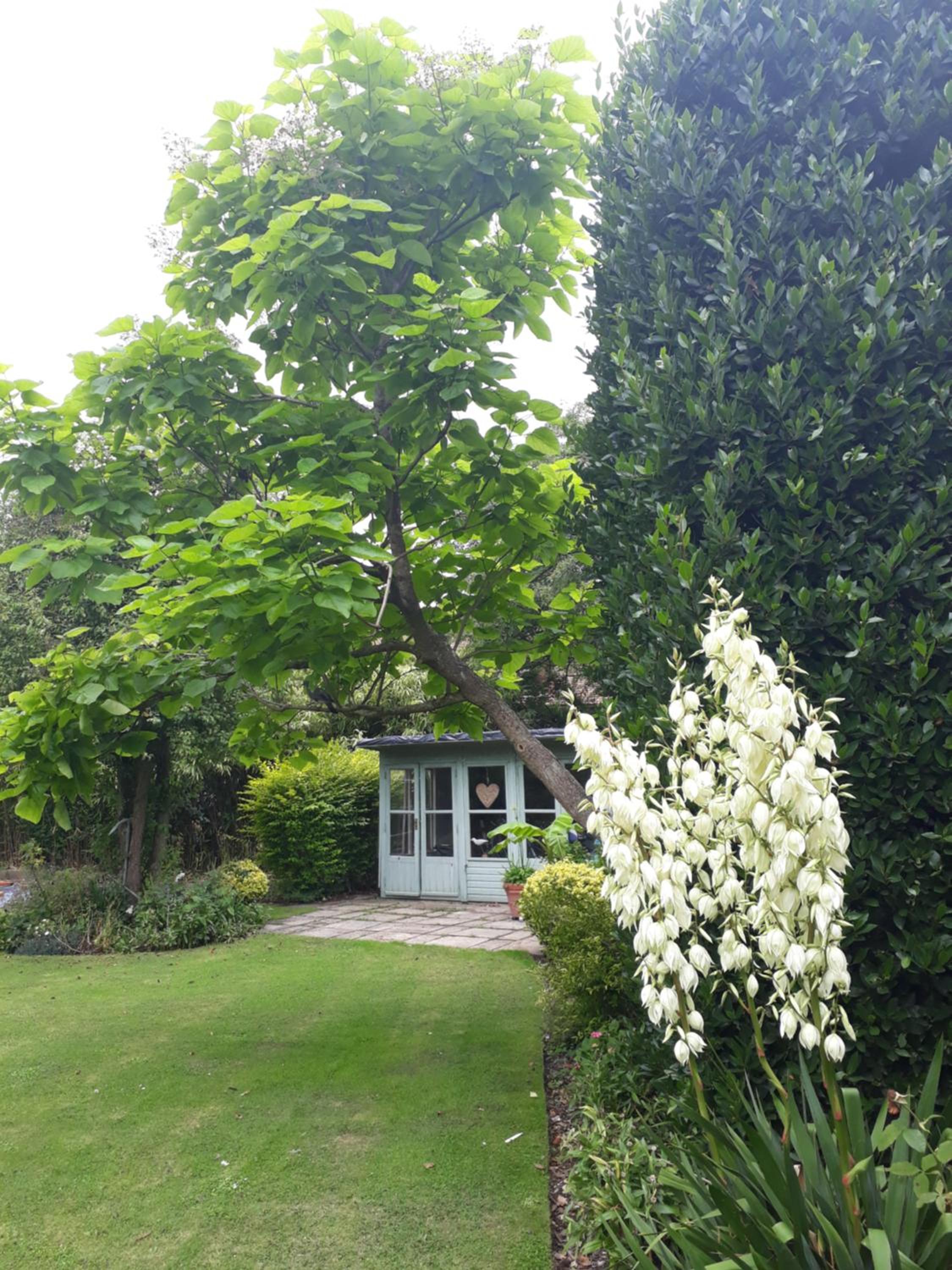 Photo 28