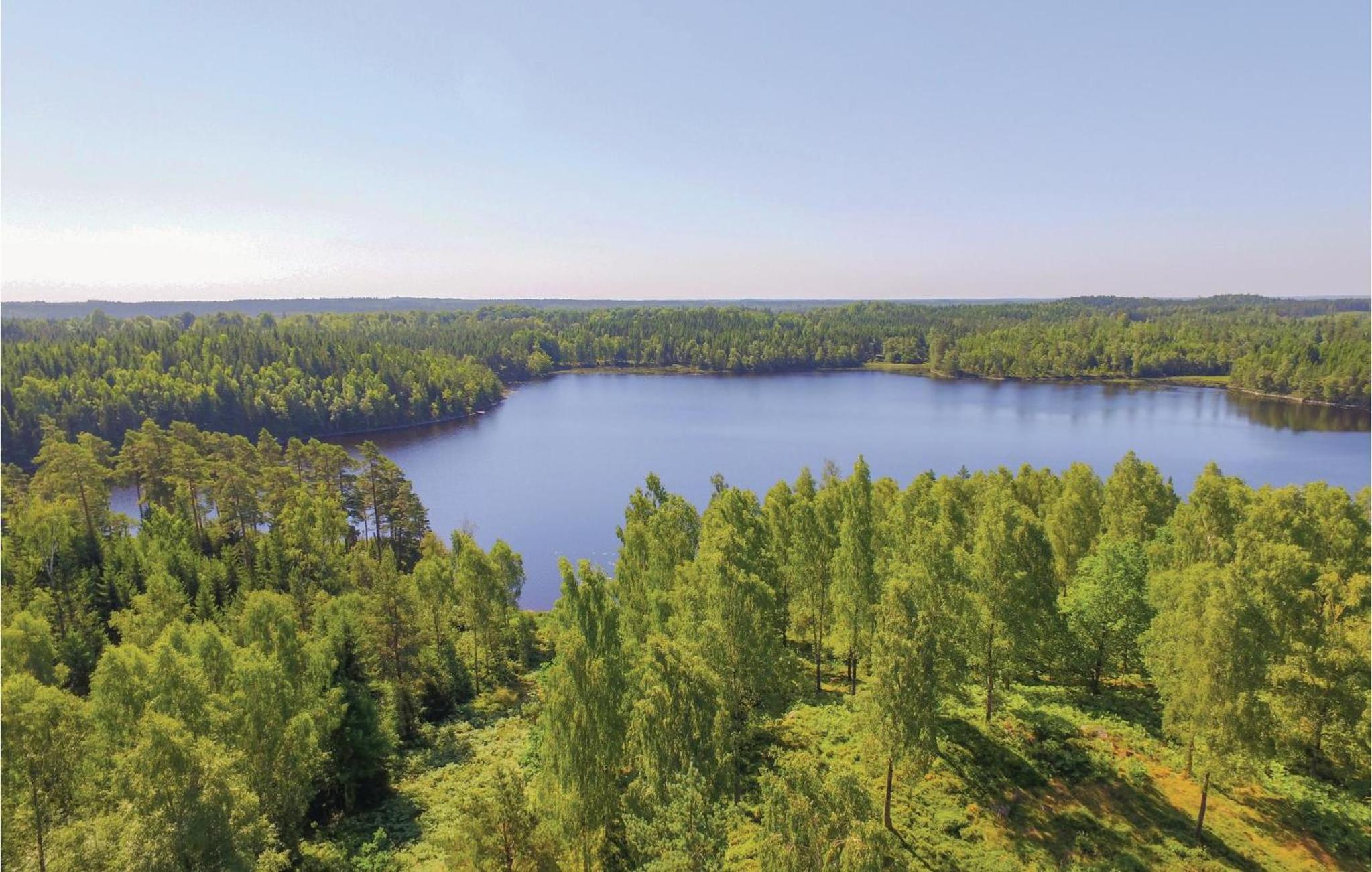 Mården