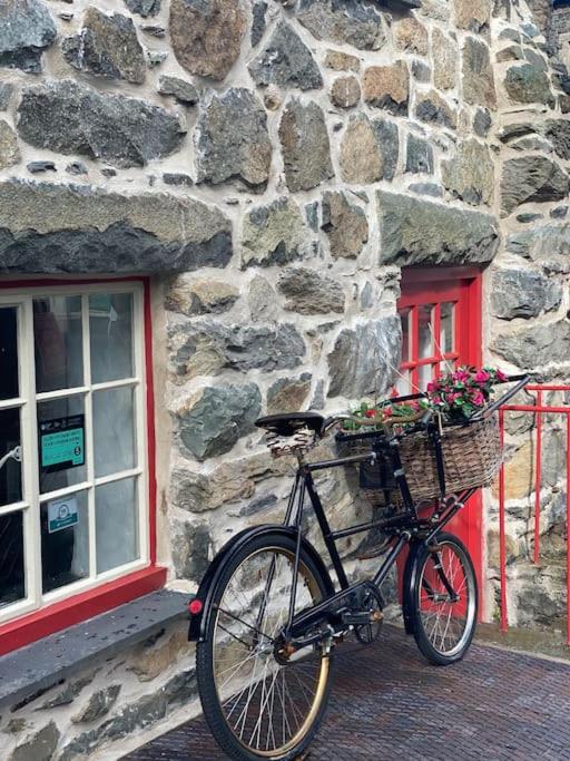 Love Lane Cottage Dolgellau view 2
