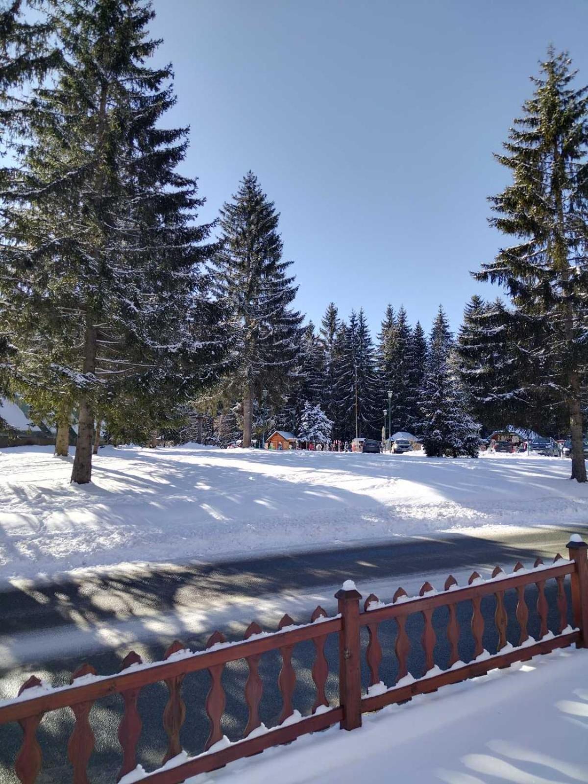 Apartman Petar view 5