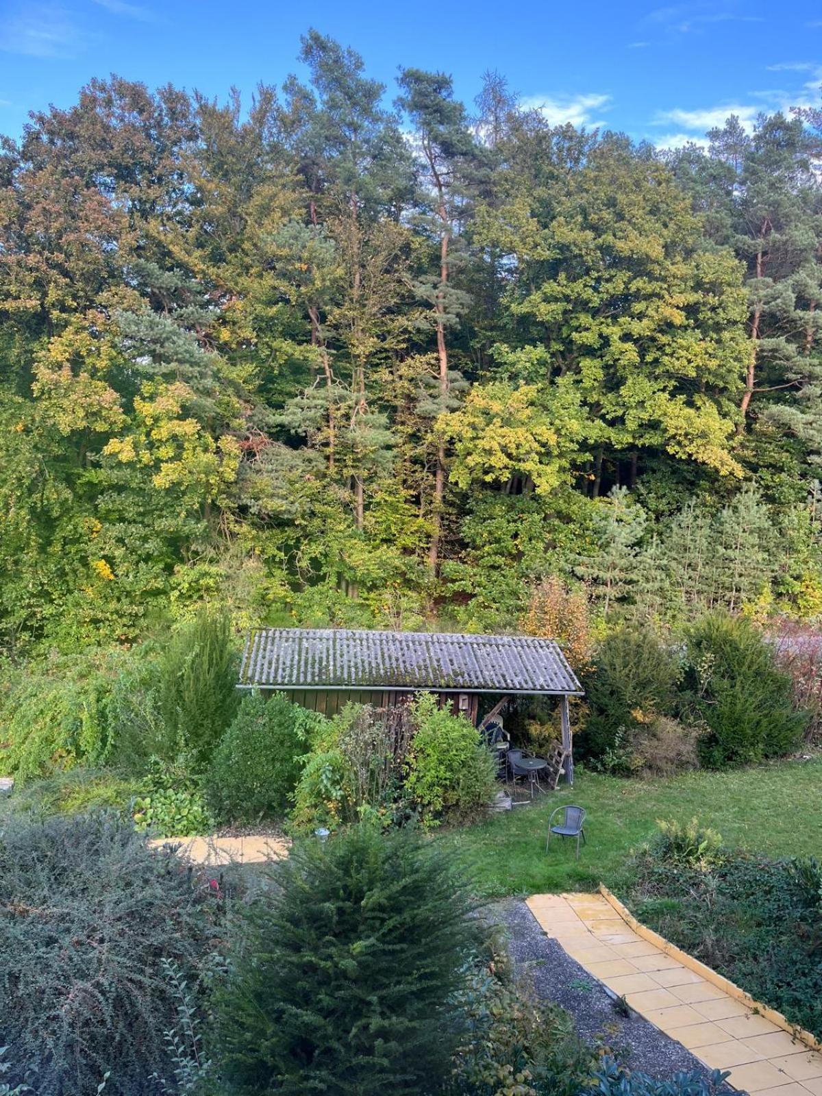 Franziska's Ferienwohnung - Die Unterkunft in ruhiger Lage direkt am Wald view 3