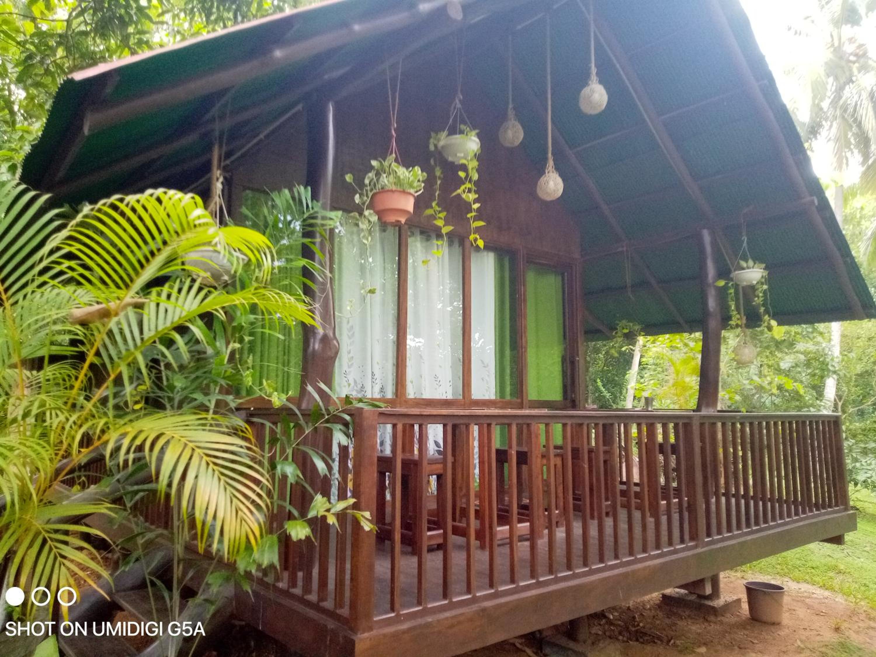Coconut Tree House view 4