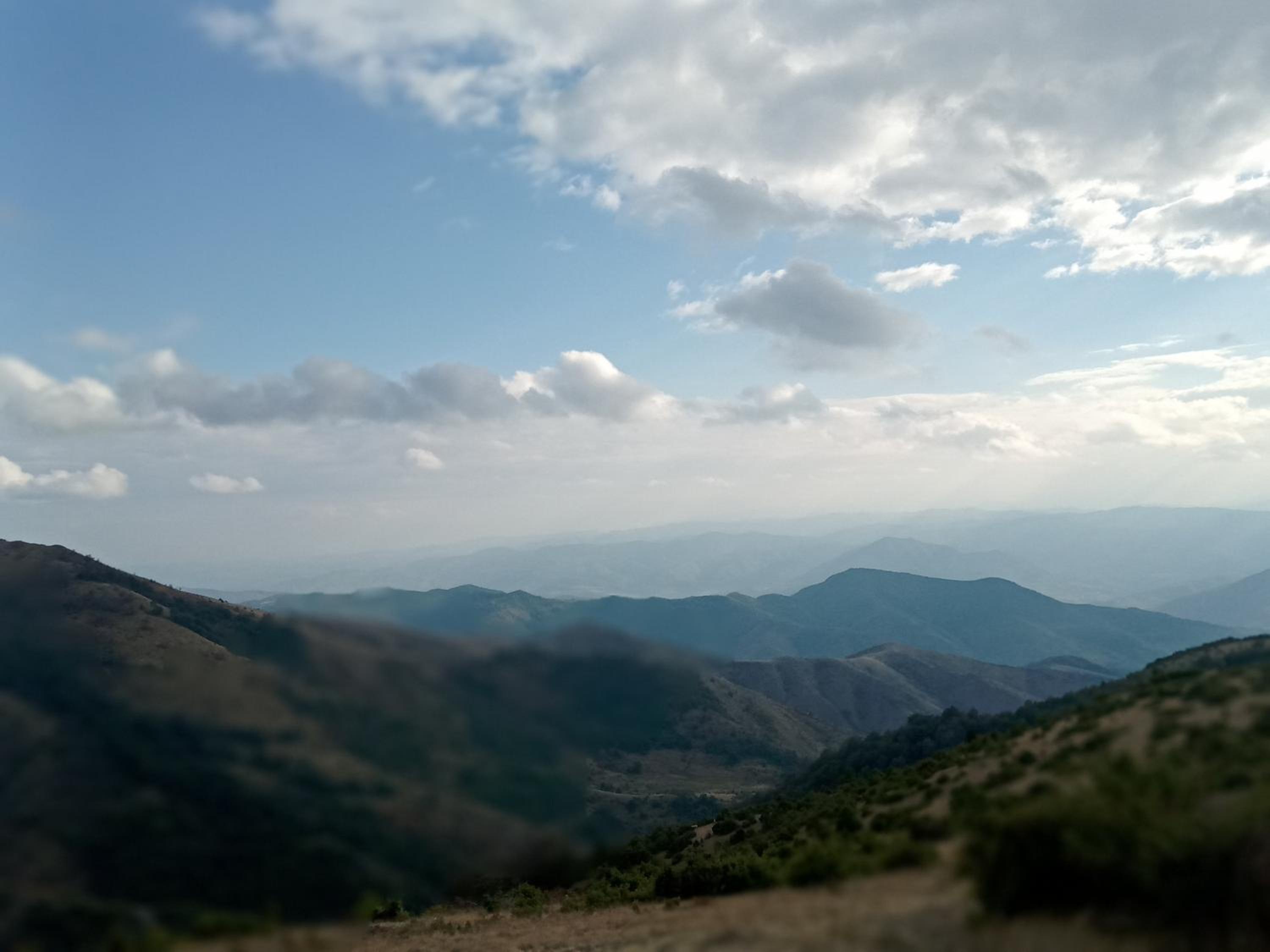 Studio SimpaKop