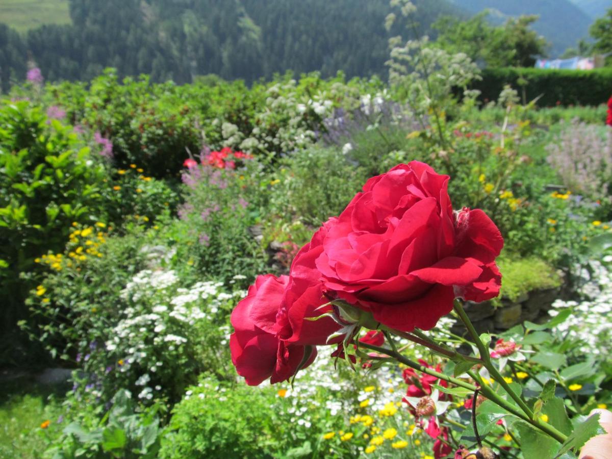 Klampererhof