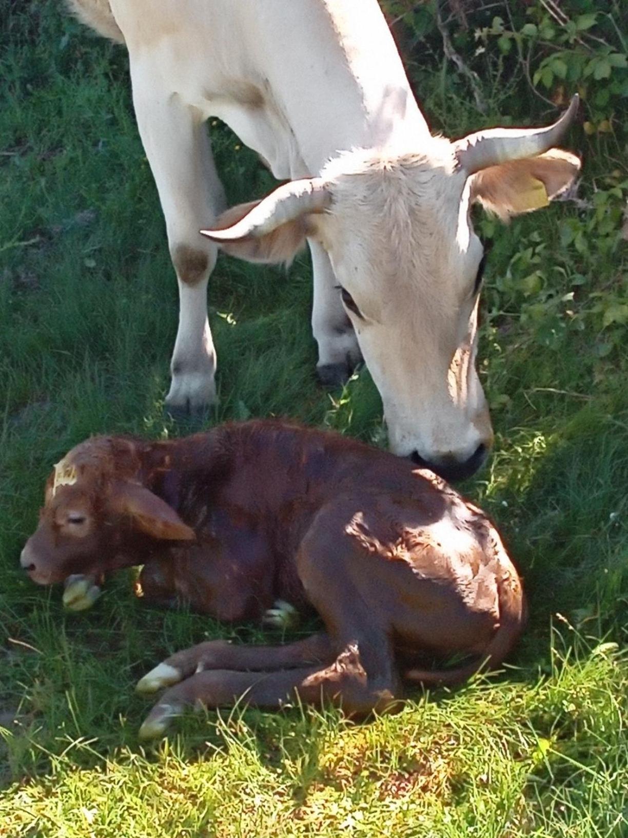 Photo 49